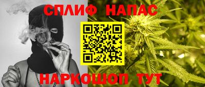 индика Апшеронск