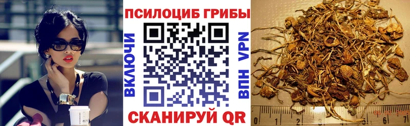 наркота  даркнет наркотические препараты  mega маркетплейс  Псилоцибиновые грибы прущие грибы  Белгород 