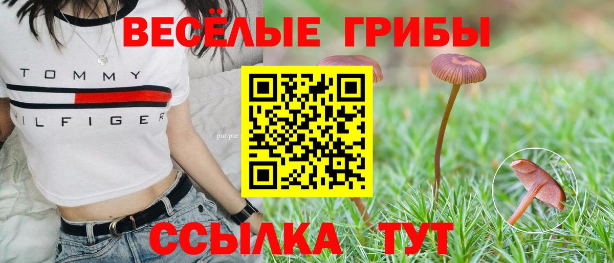 Галлюциногенные грибы MAGIC MUSHROOMS  Вход с VPN  Белгород 